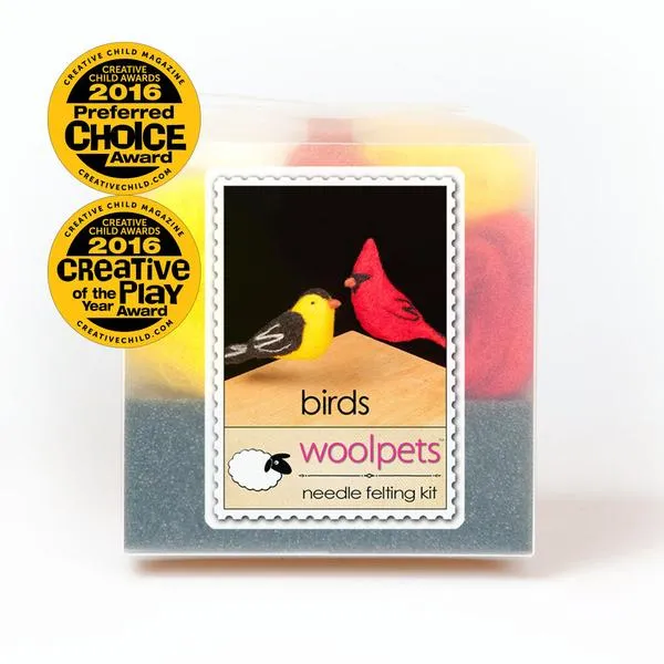 Birds Needle Felting Starter Kit - Easy