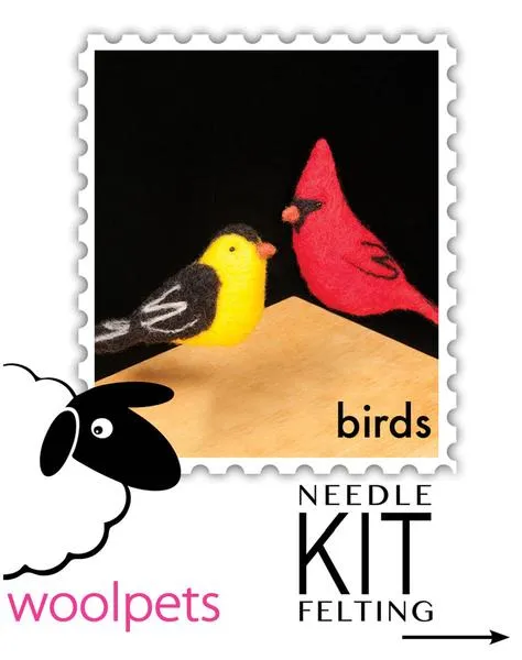 Birds Needle Felting Starter Kit - Easy