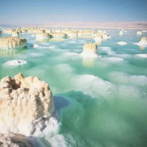 Genuine Pure Dead Sea Mud Mask