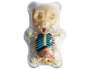 Gummi Bear Skeleton Anatomy Model