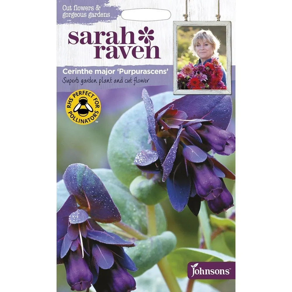 Sarah Raven Cerinthe Major 'Purpurascens' Seeds