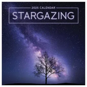 TF Publishing 2025 Stargazing Mini Calendar