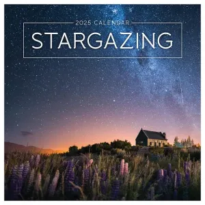 TF Publishing 2025 Stargazing Wall Calendar